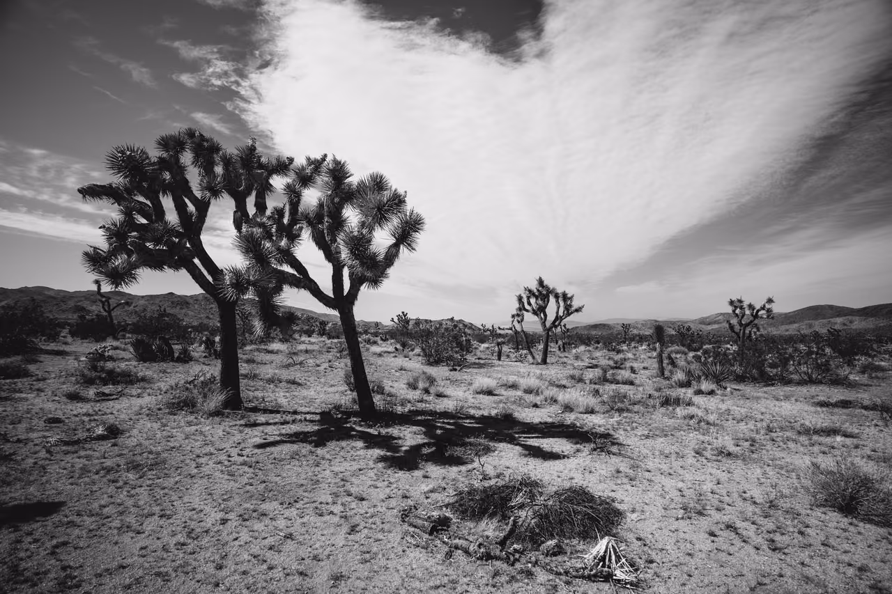 Desert Travel — Travel & Resort cover frame